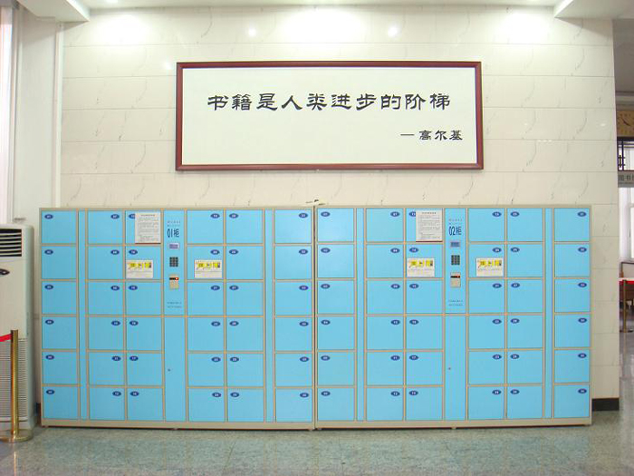 Steel Furniture|Lockers|Office Furniture|12-doors Coin-operated storage cabinet|����񡢵��Ӵ���������